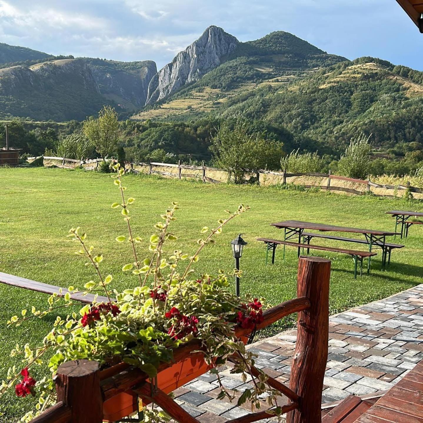 Pensiunea Bodrogeni Poiana Aiudului Bagian luar foto